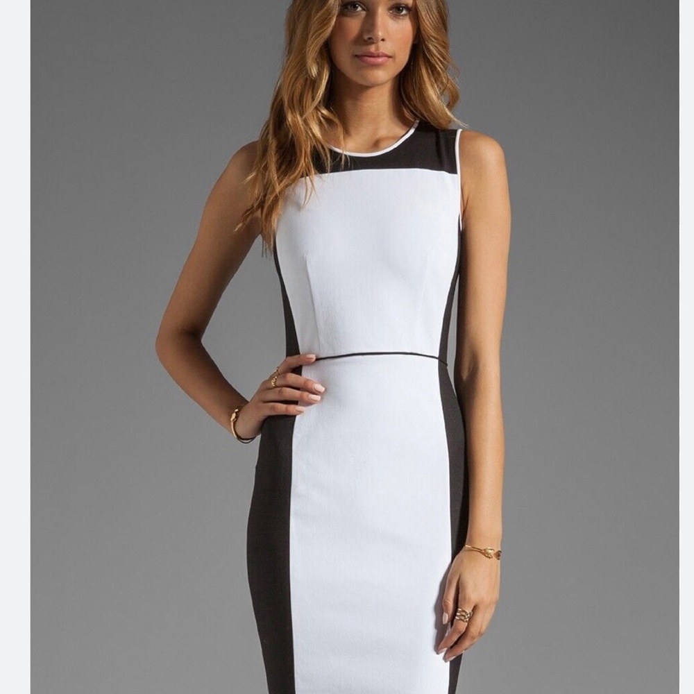 NWOT Theory -Nyasha colorblock fitted dress